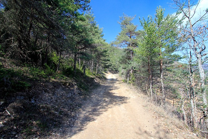 Début de la randonnée vers le piedestal Début de la randonnée vers le piedestal