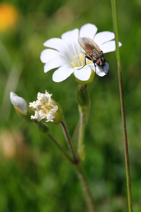 Macro 2010