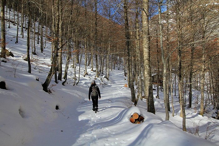 Randonne dans la neige  ct de Gavarnie
