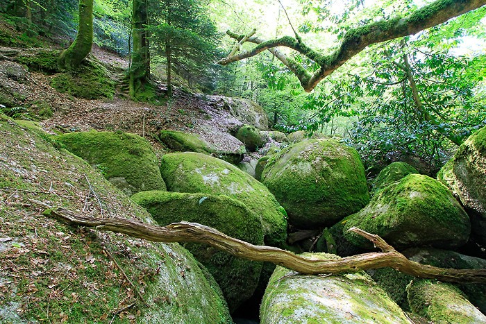 Chaos de Huelgoat en Bretagne