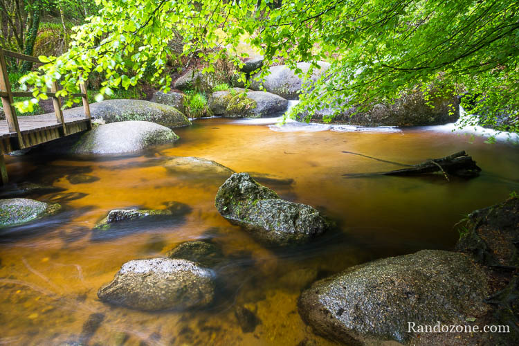 Mare aux Sangliers