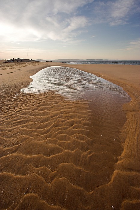 Balade sur la plage  la pointe du Cap Ferret