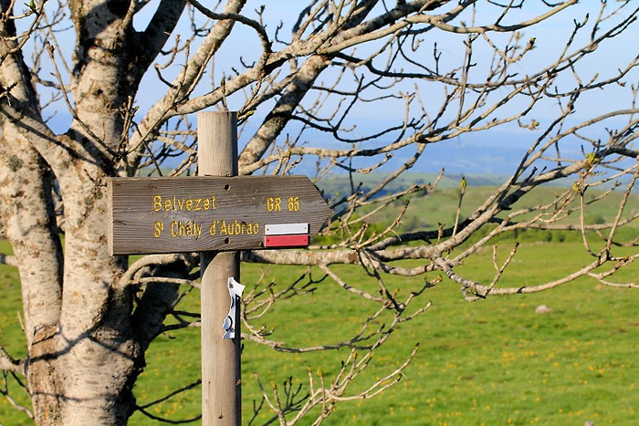 GR 65 sur le plateau de l'Aubrac