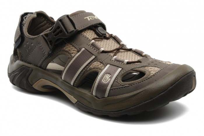 Teva Omnium