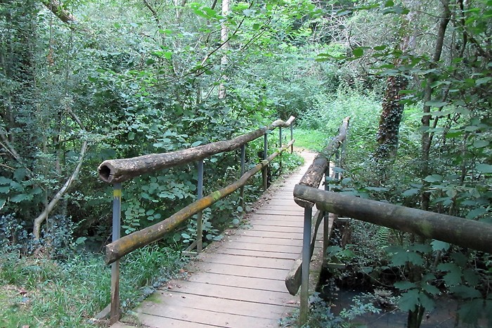 Balade au bord du lac de Christus dans les Landes