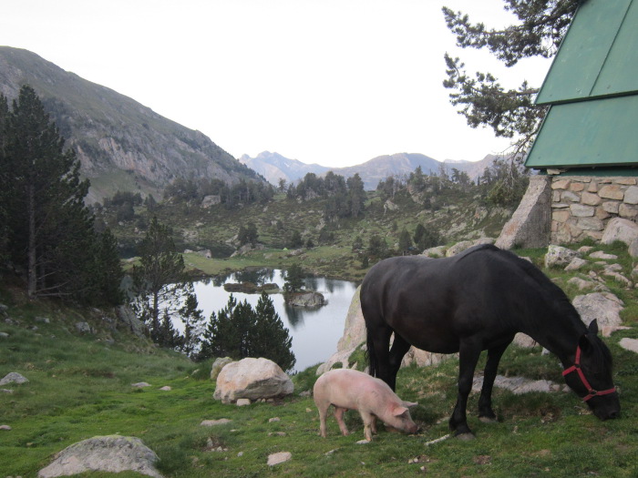 Refuge le Bastanet