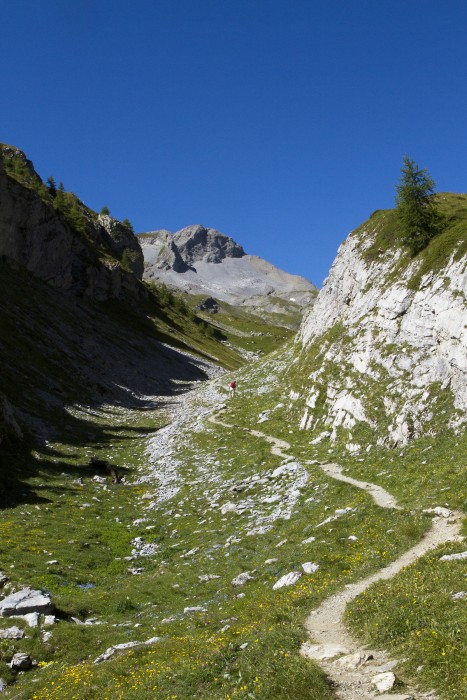 Grand Chavalard