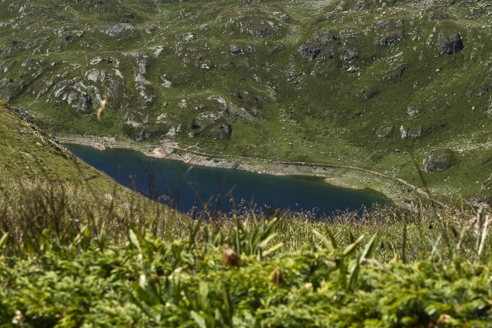 Grand Chavalard