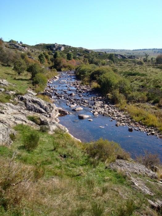 Le Bs serpente sur le plateau de l'Aubrac