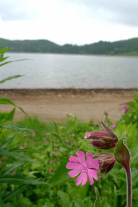Massif du Mont Dore : le Lac de Gury