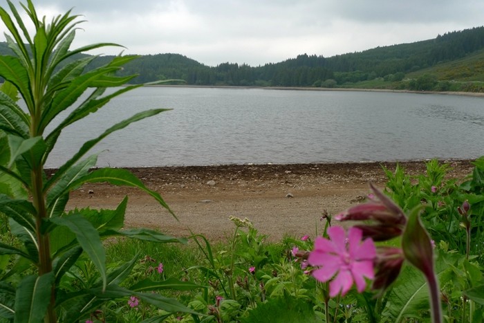 Lac de Gury dans le Parc des Volcans d'Auvergne