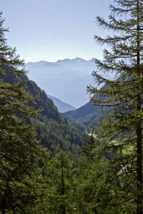Les Dents-du-Midi
