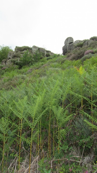 Sur le chemin de randonnée près du village de Bez Bédène Sur le chemin de randonnée près du village de Bez Bédène