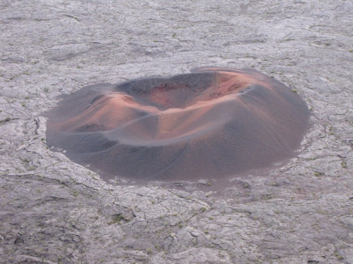 Formica Leo Formica Leo