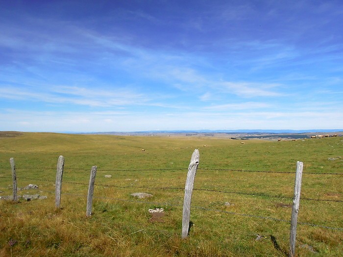 L'Aubrac : vaste terre calme, sublime et dsert