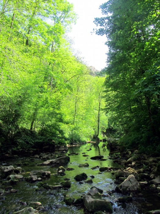 Verdure et fraicheur sont au rendez vous dans le trou de Bozouls
