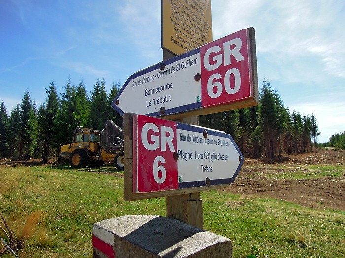 GR 6 et GR 60 se croisant sur le plateau de l'Aubrac