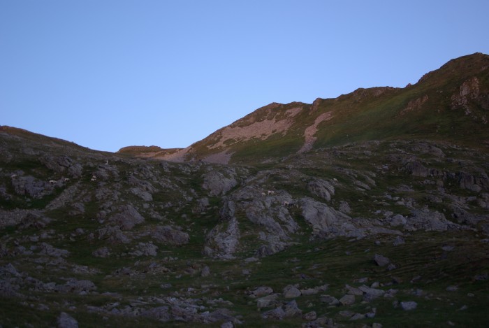 Pic de la Montagnette