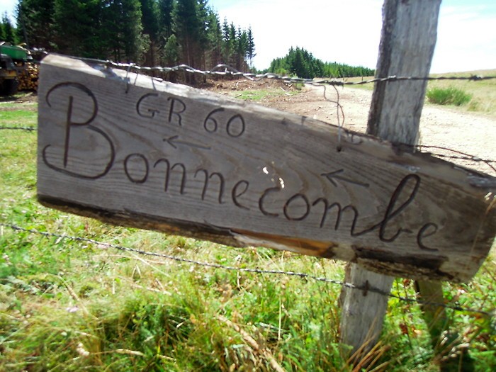 GR 60 par le Col de Bonnecombe, Aubrac, Lozre