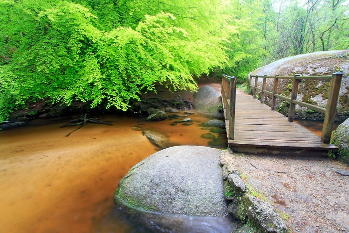 La mare aux Sangliers dans la fort de Huelgoat