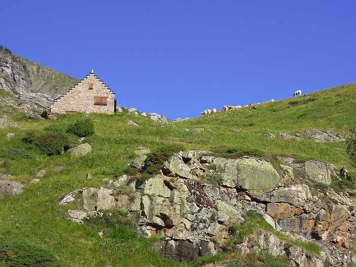 Maison et brebis lors de la randonne au Cirque d'Estaub
