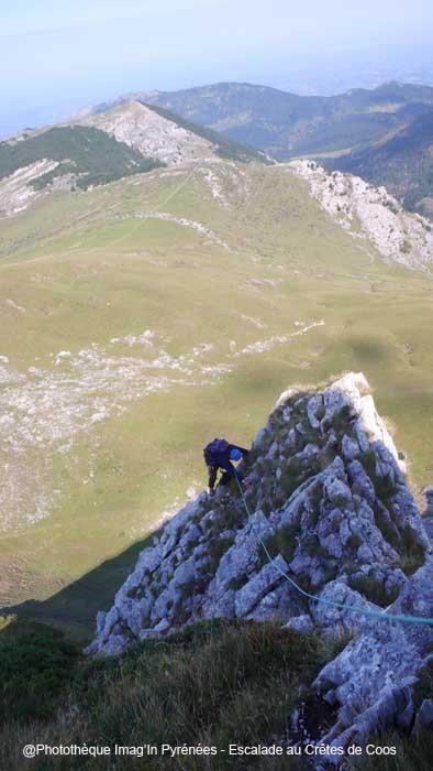 Crtes de Coos