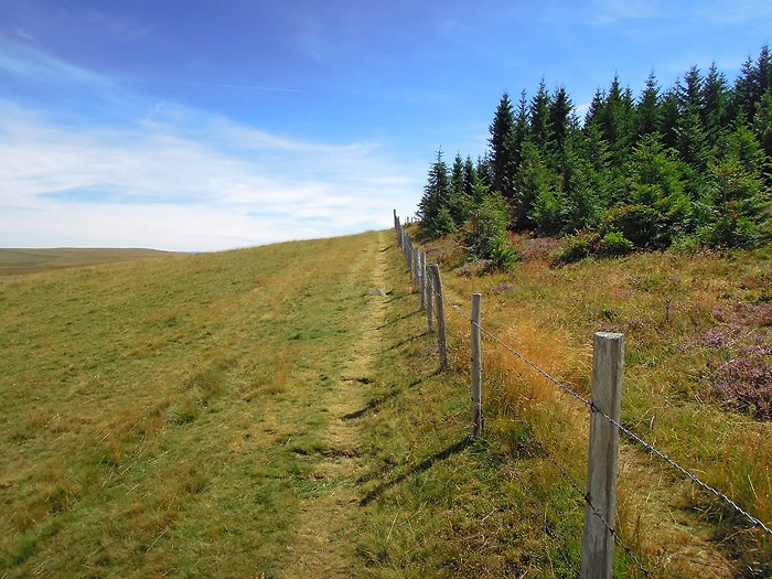 Randonne sur Aubrac, au Signal de Mailhebiau