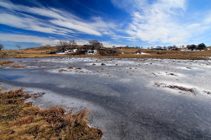 Etendue d'eau gele en Aubrac