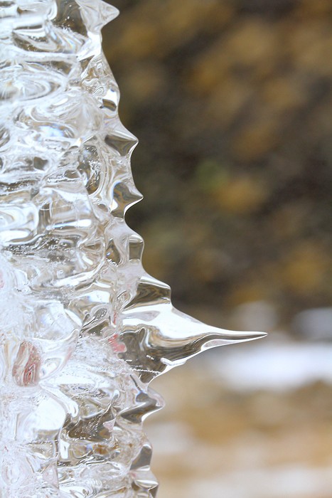 Vent glacial Vent glacial