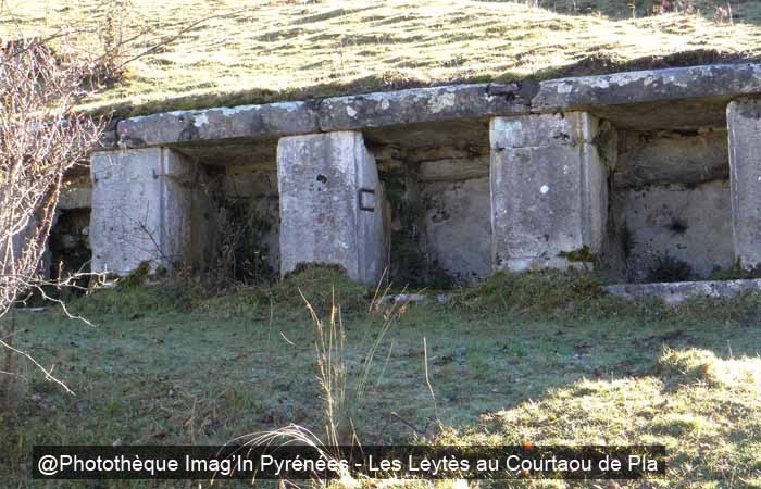 Les Leyts