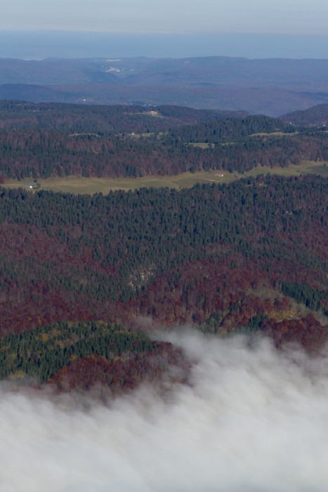 Entre ciel et brume dans le Jura