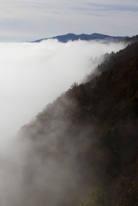 Entre ciel et brume