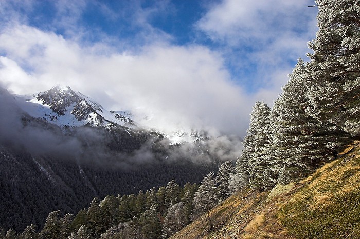 Paysage de montagne
