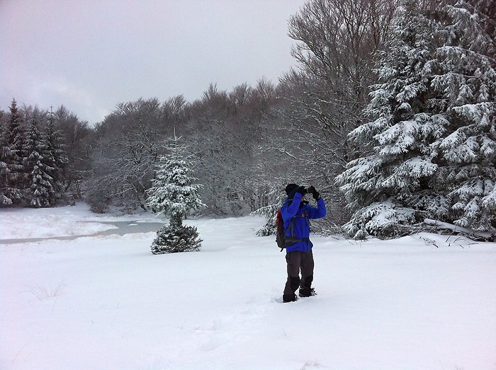 Randonne sur l'Aubrac dans la neige