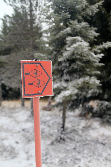 Sentier balis de raquettes  neige