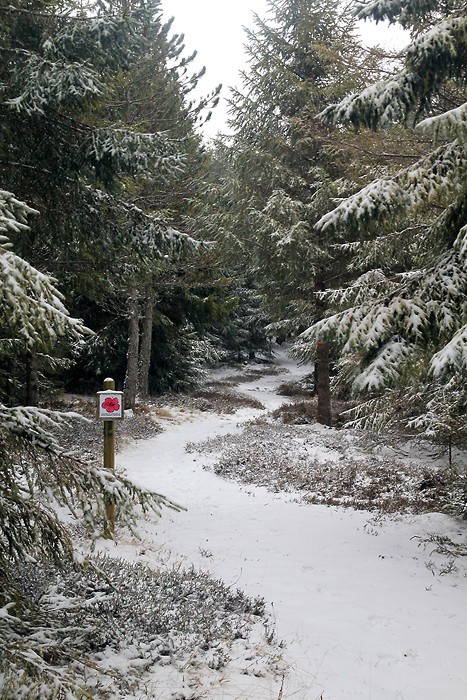 Circuit de randonne : sentier botanique de Laguiole