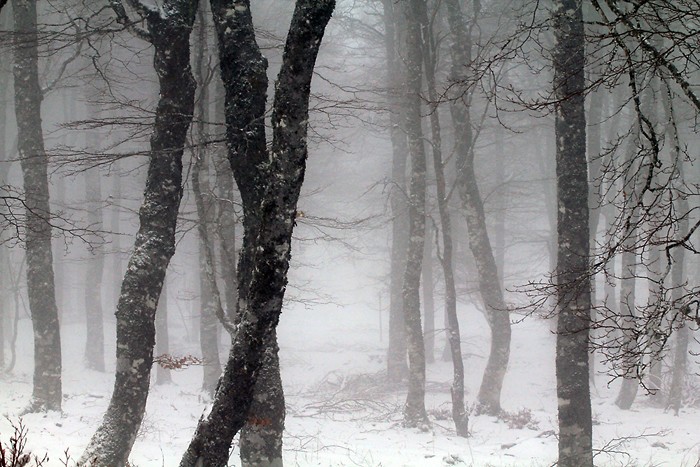Progression dans le brouillard