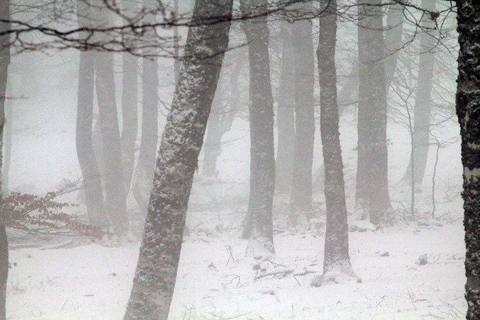 Brouillard fantomatique