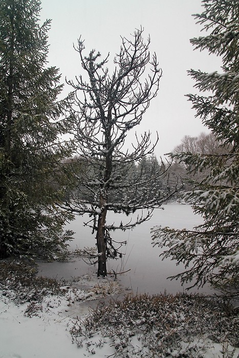Lac gel en Aubrac