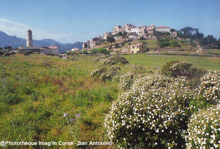 San Antonino