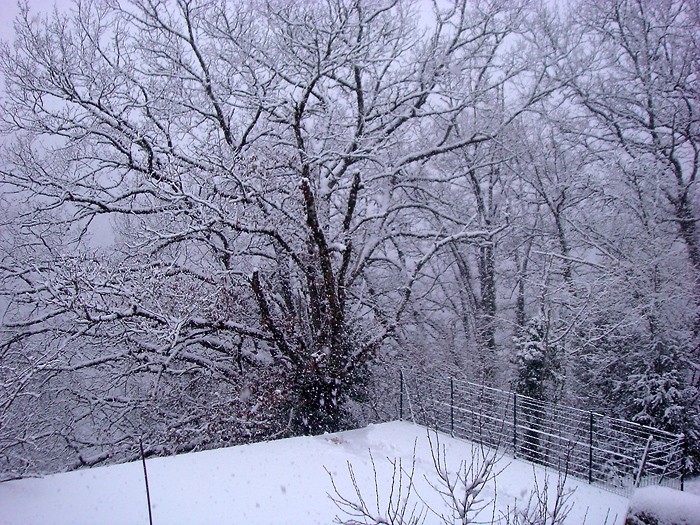 La neige est à nouveau tombée en Aveyron La neige est à nouveau tombée en Aveyron