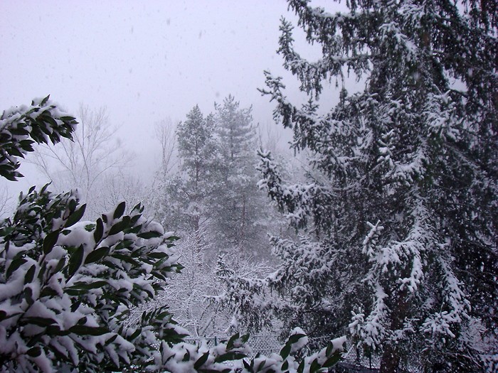 Paysage d'Aveyron sous la neige d'hiver