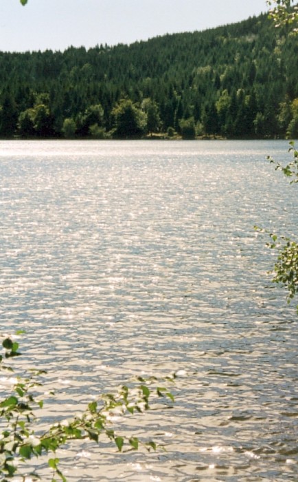 Lac d'Auvergne, Bouchet Saint Nicolas