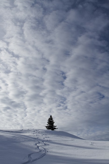 Entre ciel et neige