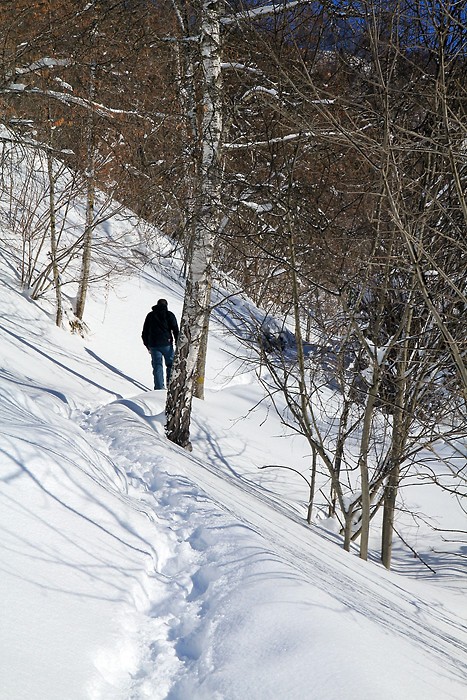 Nous progressons dans la neige poudreuse Nous progressons dans la neige poudreuse