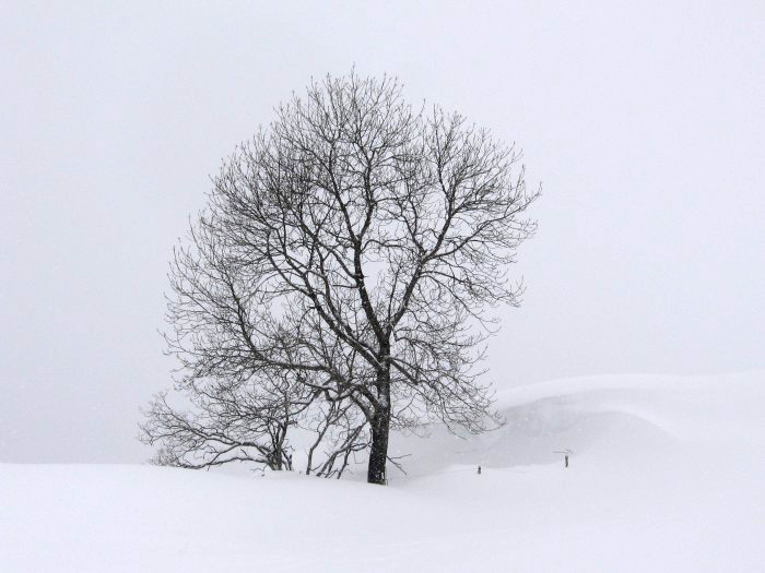 col de Bazes