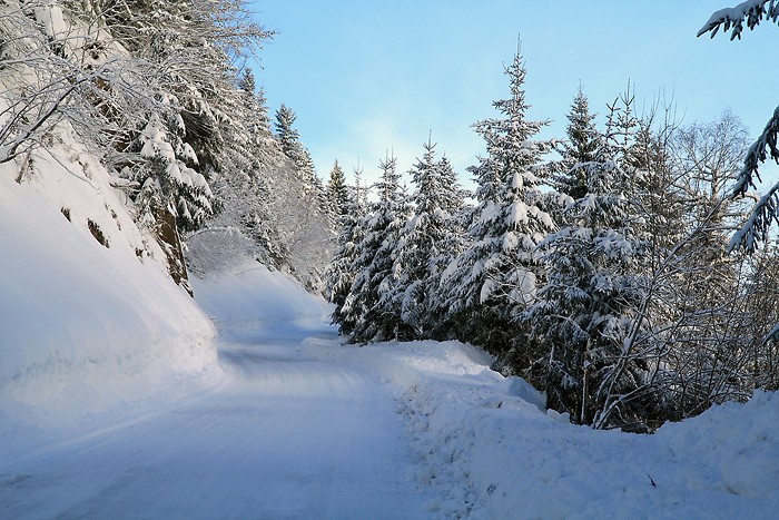 La neige recouvre tout