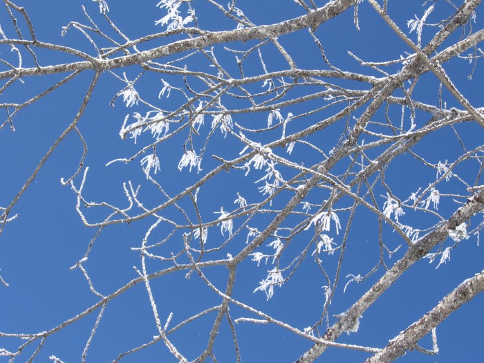 hiver