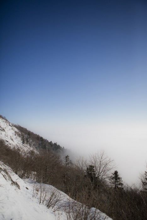 Bleue ciel