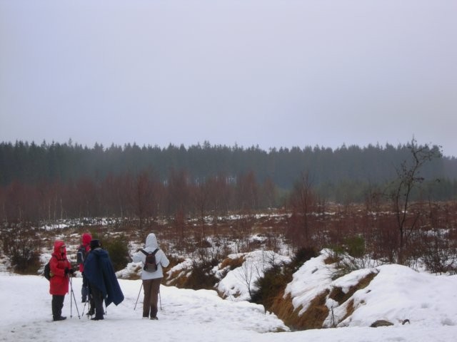 Fagnes